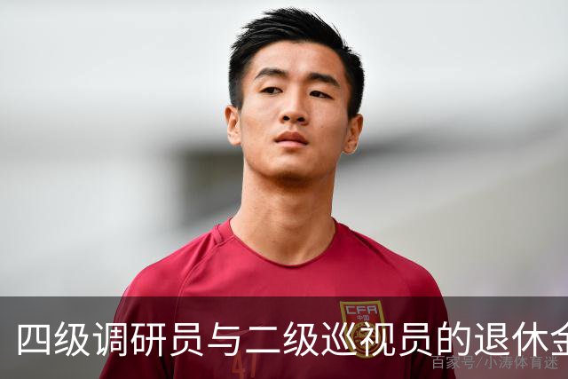 四级调研员与二级巡视员的退休金差异揭秘