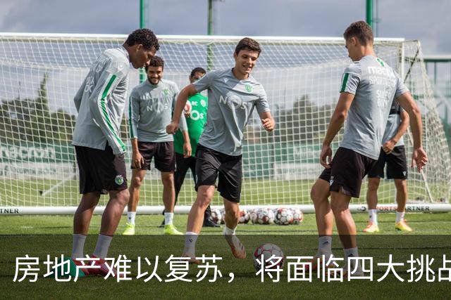 房地产难以复苏，将面临四大挑战，专家深度剖析